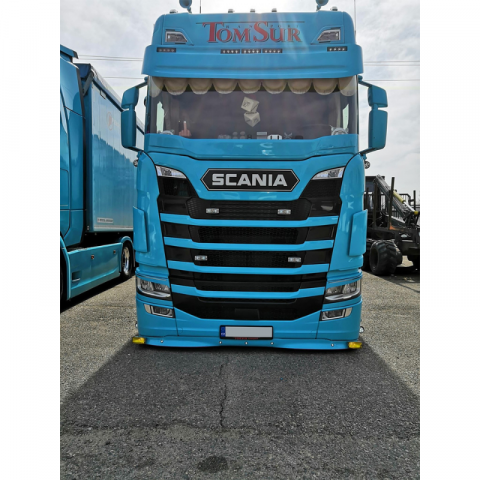 Protectie parbriz laminat, 19.5cm, plasa insecte SCANIA Nextgen S/R 08/2016- [1]