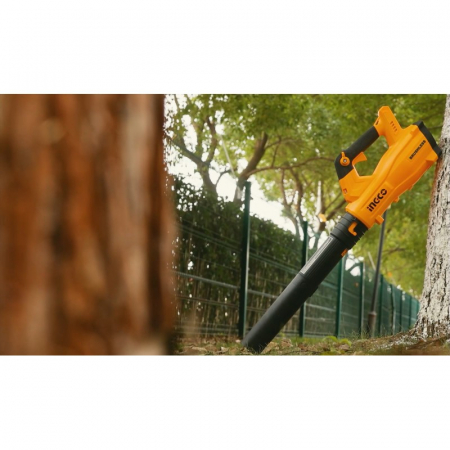 Suflanta pentru frunze pe acumulator 20V, motor fara perii, brushless [1]