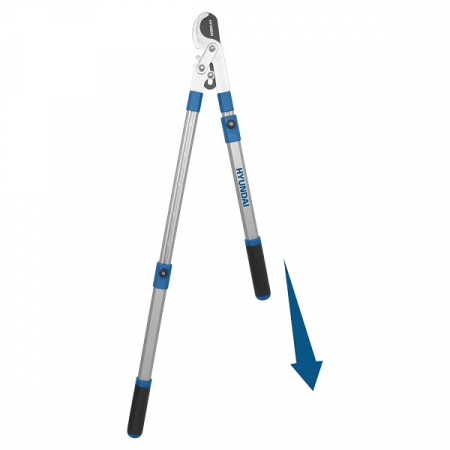 Foarfeci si fierastraie - Foarfeca crengi maner telescopic 30 mm HYUNDAI HY-58045