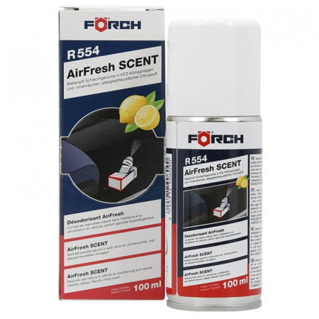 Intretinere si cosmetica auto - Spray igienizare, dezinfectie si curatare aer conditionat auto, R554