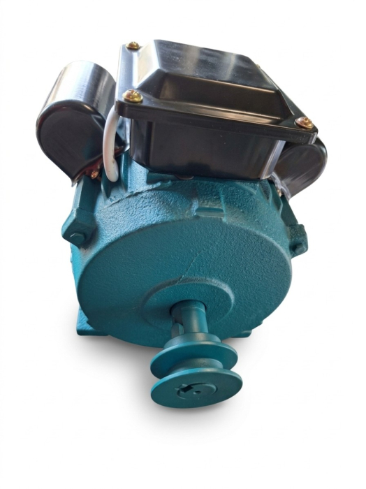 Motor electric DDT 1,5 kW cu 3000 RPM, 220V, 50Hz, cu protectie la suprasarcina, bobinaj CUPRU, BUTON ON-OFF,  Fulie inclusa [4]