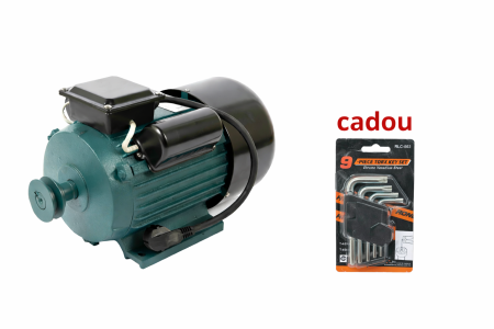 Motor electric monofazat cu fulie inclusa, DDT PROFESSIONAL, 3000 W, 1500 rpm, 2 condensatori, corp fonta [1]