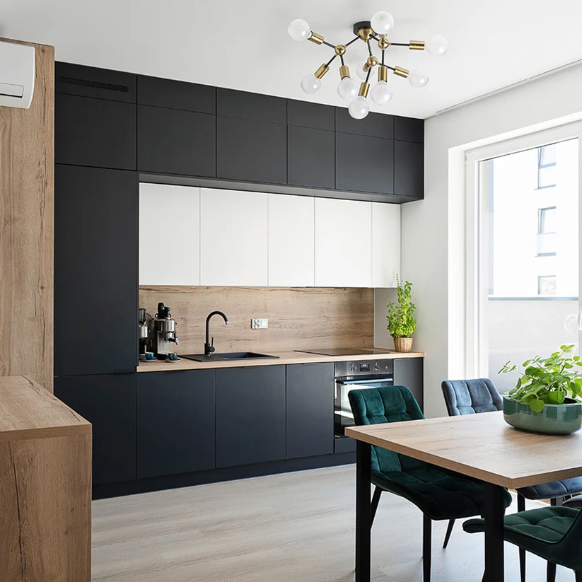 ARTEMIA 9 DE TAVAN [4]