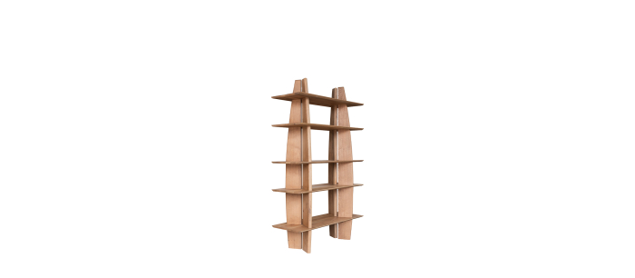 Bibliotecă VIAREGGIO DOUBLE [2]
