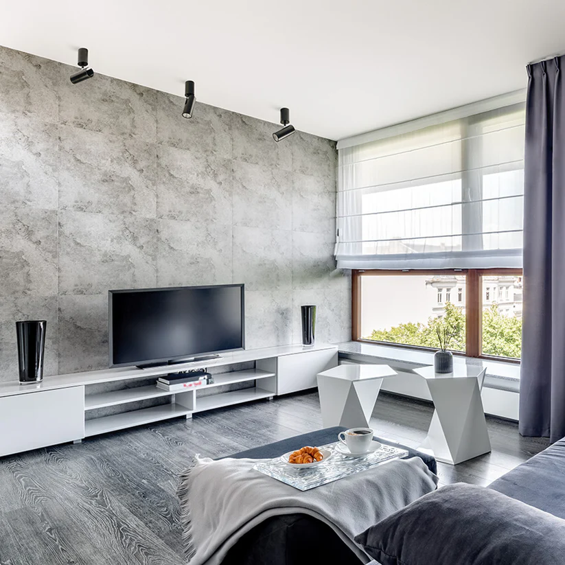 BOGARD DE TAVAN - spot luminos [2]