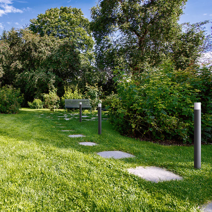 BONNIE DE PODEA - lumină de exterior [3]