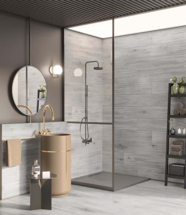 COLECTIA CAMBIA ASH [2]