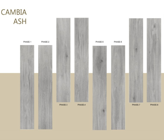 COLECTIA CAMBIA ASH [3]