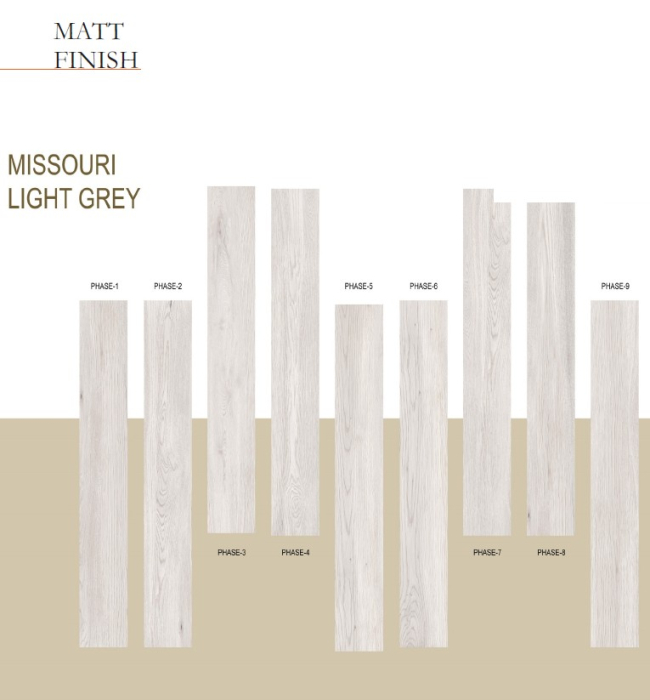 COLECTIA MISSOURI LIGHT GREY [3]