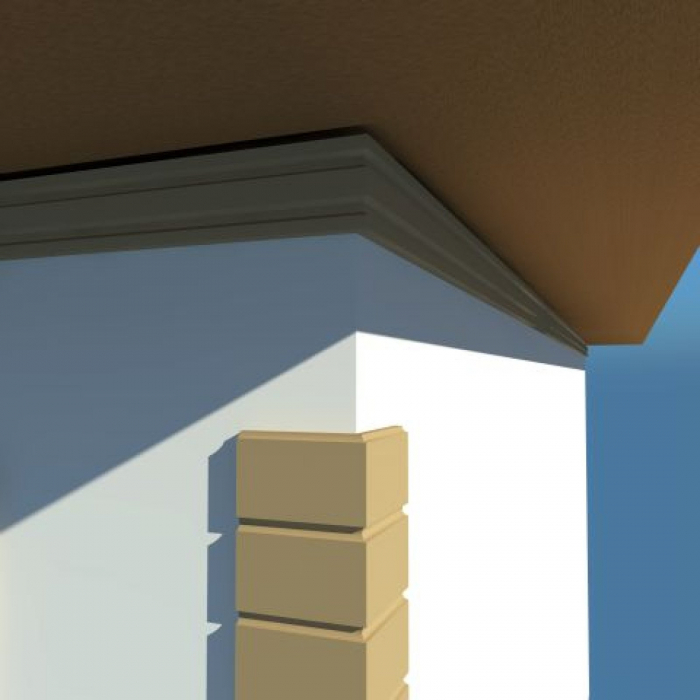 Cornisa decorativa exterior NC102 [3]