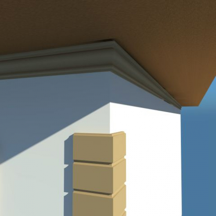Cornisa decorativa exterior NC103 [4]
