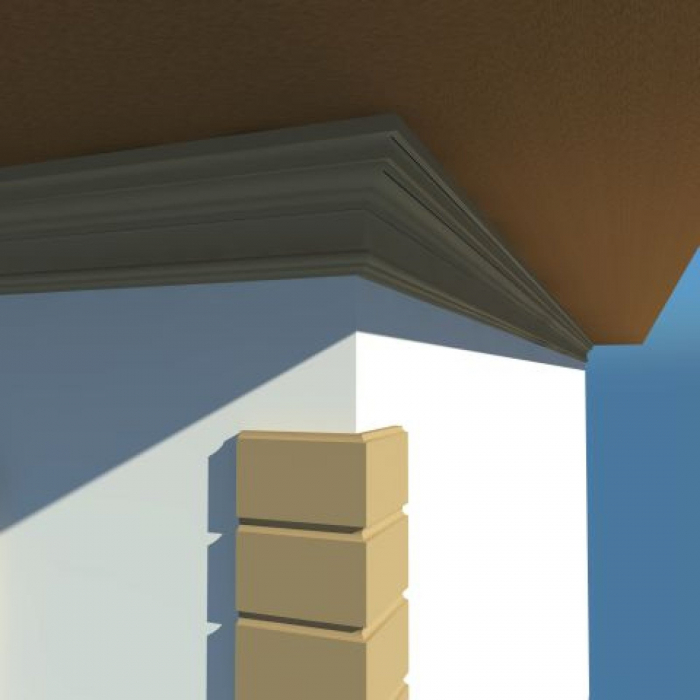 Cornisa decorativa exterior NC110 [4]