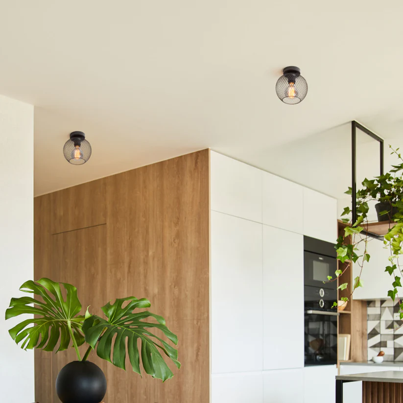 COSIR 18 - CORP DE ILUMINAT DE TAVAN [5]