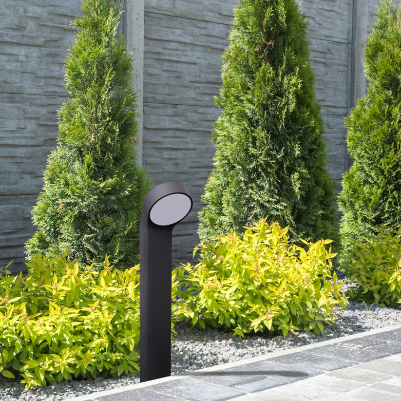 ELIA DE PODEA - lumină de exterior [5]