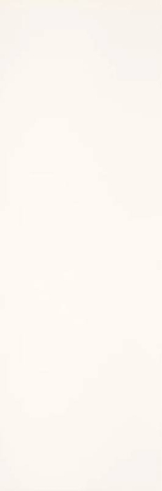 FAIANTA ELEGANT SURFACE [10]