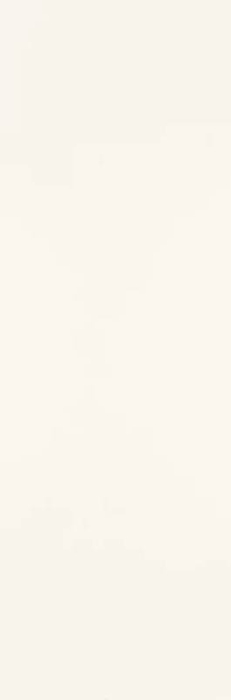 FAIANTA PURE CITY [8]