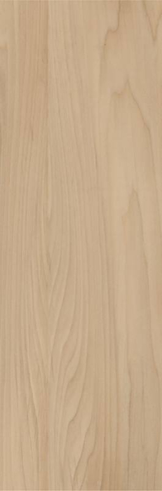 FAIANTA PURE CONCEPT [3]