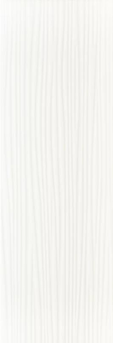 FAIANTA SYNERGY [12]