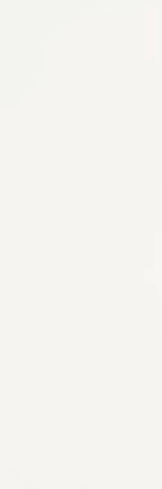 FAIANTA SYNERGY [13]