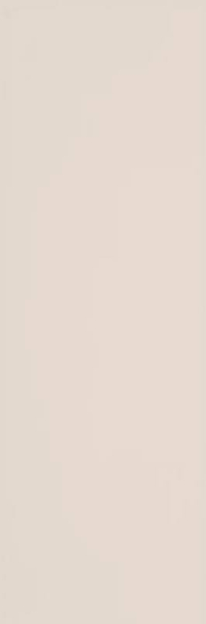 FAIANTA SYNERGY [11]