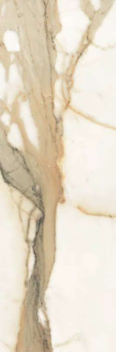 FAIANTA WARM WIND [11]