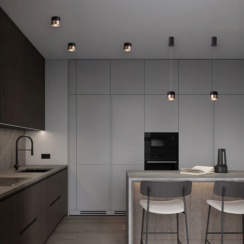 JUNIPER - CORP DE ILUMINAT DE TAVAN [4]