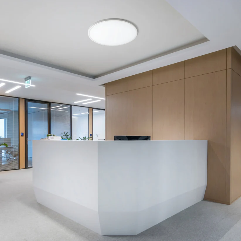 LANA 60 -  CORP DE ILUMINAT MONTAT PE TAVAN [5]