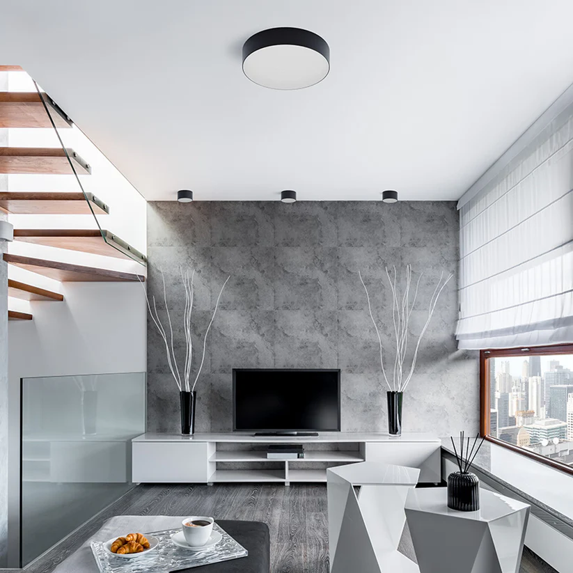 LARISA R 12 - CORP DE ILUMINAT DE TAVAN [5]