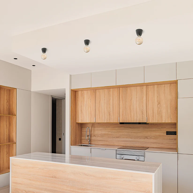 REACH - CORP DE ILUMINAT DE TAVAN [2]