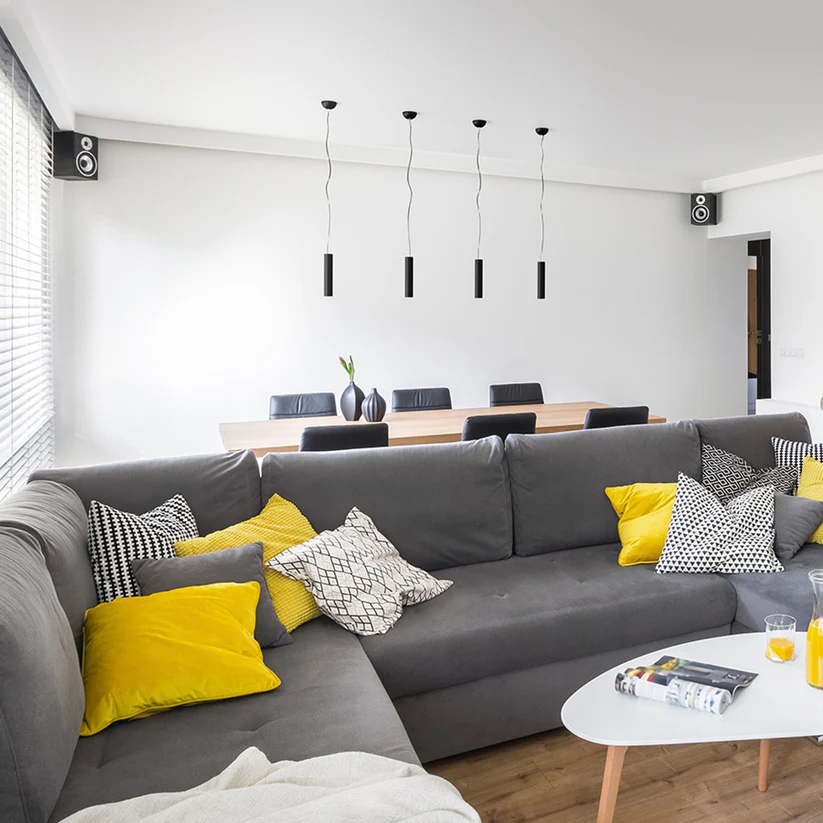 RIGA 28 SUSPENDAT [4]