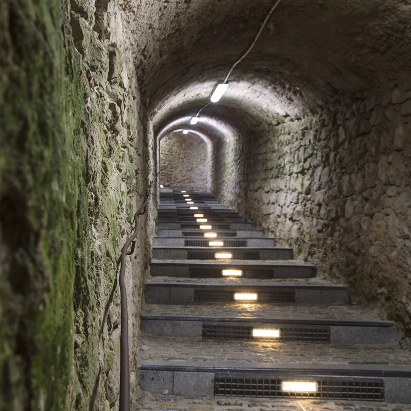 TRIDENT PRO 120 - CORP DE ILUMINAT DE TAVAN [2]