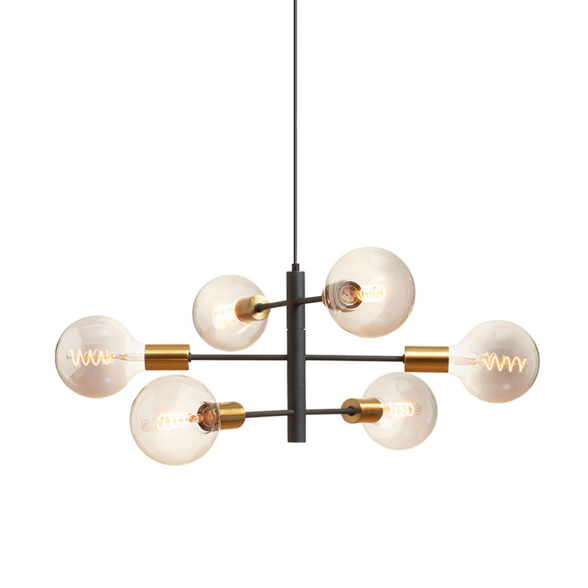 ARTEMIA SUSPENDAT [3]