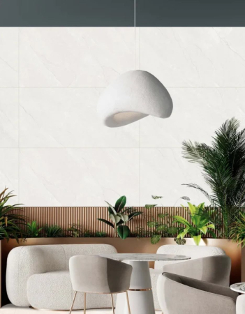 COLECTIA CARNO WHITE [1]