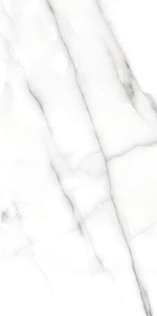 PLACI CERAMICE - COLECTIA ONYX NESTER SILVER