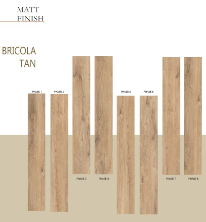 COLECTIE BRICOLA TAN [2]