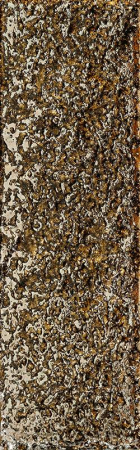 Faianta de Perete - FAIANTA GOLDGREEN