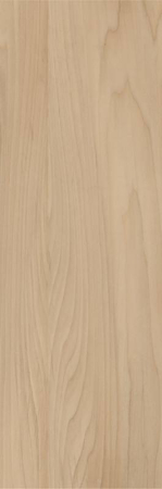 FAIANTA PURE CONCEPT [2]