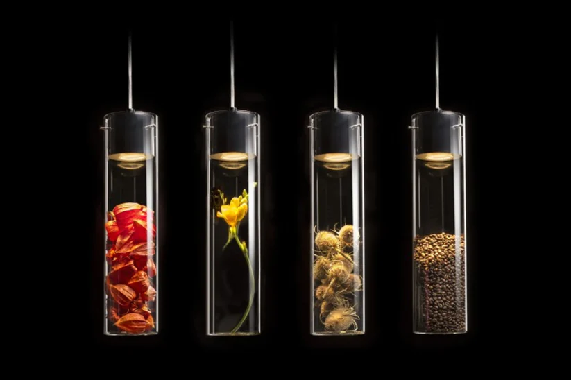 GARNISH SUSPENDAT [3]