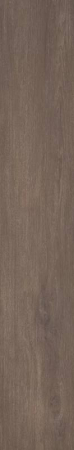 Gresie Exterior Outdoor - 2 cm - GRESIE WILLOW OCHRA