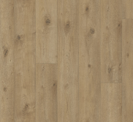 Colectia Trendtime 6 - OAK EVERGLADE NATURAL
