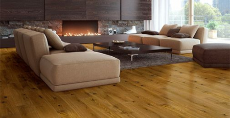 Pure Line - STEJAR GOLDEN SPIKE GRANDE SCURT