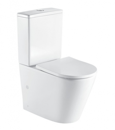Obiecte Sanitare - ZINA WC/BIDEU