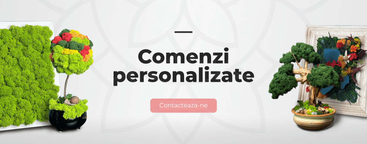 Comenzi personalizate