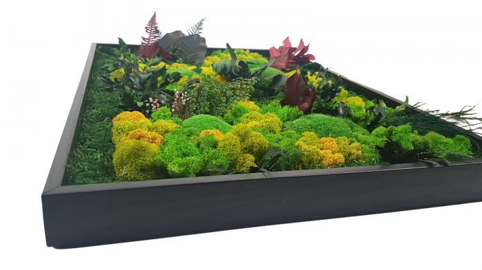 Tablou decorativ Forest din muschi si licheni stabilizati, 42 x 60 cm [2]