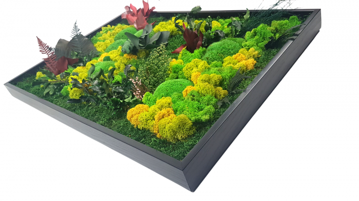Tablou decorativ Forest din muschi si licheni stabilizati, 42 x 60 cm [3]