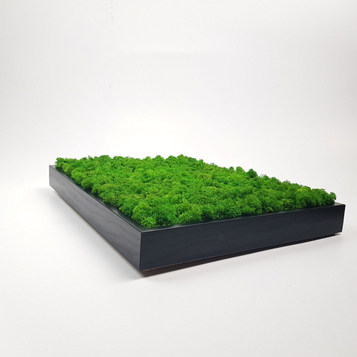 Tablou decorativ verde din licheni stabilizati, 42 x 30 cm [2]