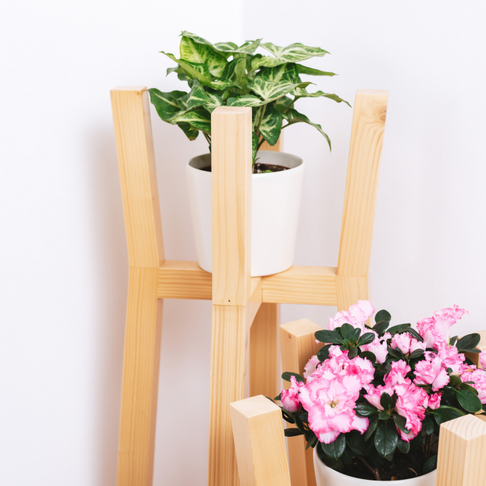 Set de trei suporturi pentru flori din lemn masiv [5]