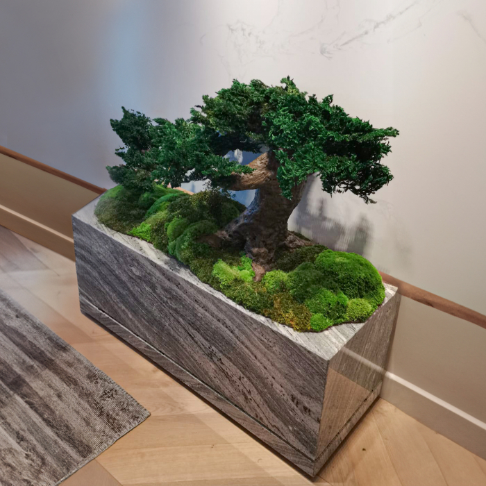Bonsai ienupar verde stabilizat cu baza din muschi 100x50x65 cm [3]