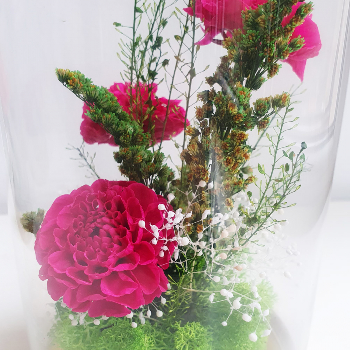 Aranjament floral plante stabilizate Cupolă flori stabilizate fucsia [2]