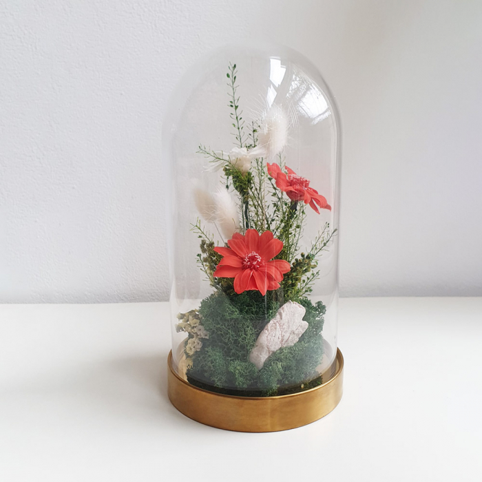 Aranjament floral plante stabilizate Cupolă flori stabilizate portocalii [2]